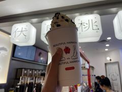 -伏小桃(萧山银隆店)
