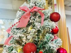 -世纪飞马幼儿园(西城校区)