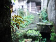 -飞霞风景名胜区