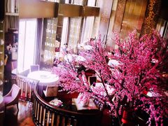 -金轩中餐厅 Jin Xuan(浦东丽思卡尔顿酒店)
