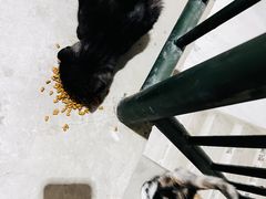 -天毓山庄·餐厅