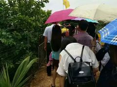 -那琴半岛地质海洋公园