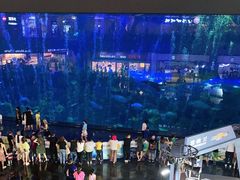 -成都浩海立方海洋公园