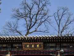 -潭柘寺景区