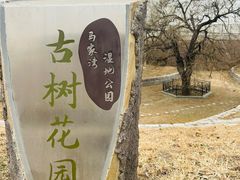 -马家湾湿地公园
