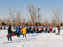 -绿野森林乐园冰雪季