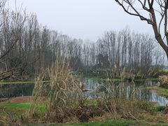 -桤木河湿地公园