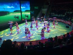 内景葬台表演-武汉杂技厅