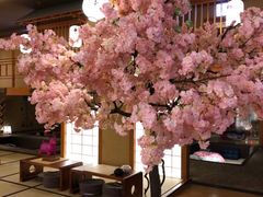 -汤泉良子(金源店)