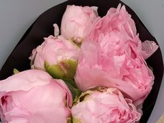 -双季花艺园艺市场(浦东店)