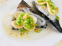 带子-老三鱼仔店