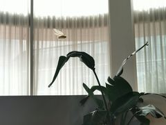 -IL Forno 意坊·意大利餐厅(温州万象城店)