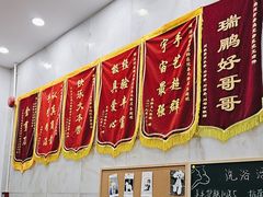 -瑞鹏宠物医院华南总院·夜诊·心脏科·骨科
