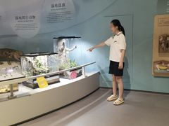 -中国湿地博物馆