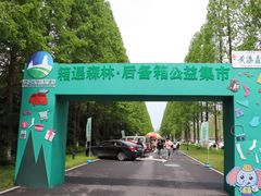 -黄海国家森林公园