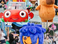 -海合安成都极地海洋公园
