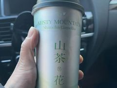 雾隐山茶-雾与山茶(大禹城店)