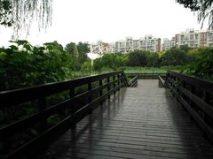 -新江湾城公园