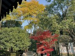 -秋霞圃