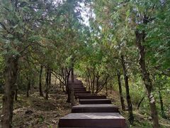 -北京十三陵国家森林公园蟒山景区