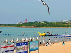 -海驴岛(荣成市)