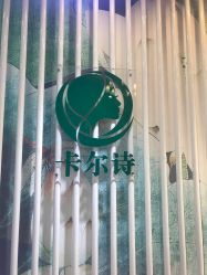 -卡尔诗·科技美肤连锁
