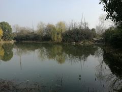 -桃花岛景观公园