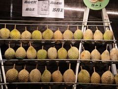 -都念榴莲·城市榴莲