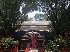-青城山