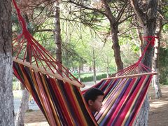 -长白岛森林公园