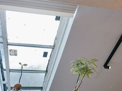 -沏点Trattoria意大利餐厅(新街口店)