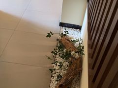 -小茶闲舍·观景商务茶馆(广州塔店)