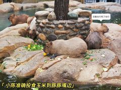 -北京野生动物园