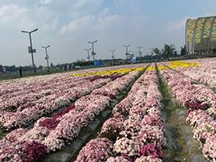 -中国天府农业博览园