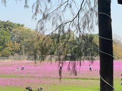 -崖口煲仔饭