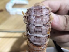 -七鲜渔港美食餐厅(巽寮湾海景店)