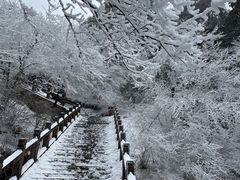 景点-九华山风景区