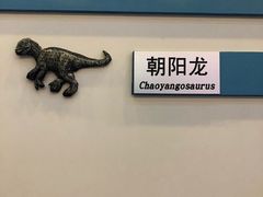 -嘉荫恐龙国家地质公园