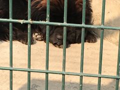 -宿豫区运河湾森林动物园