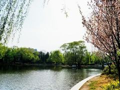 -紫竹院公园冰场