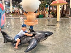 -南宫温泉水世界