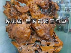 -暖见鱼·自家农场生态鱼