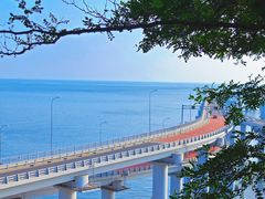 -星海湾跨海大桥