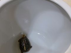 -九忠祥小笼馆(保利时光里店)