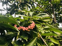 -泰安地下龙宫景区