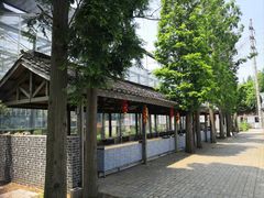 -前小桔亲子创意农场·草莓采摘·露营烧烤