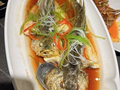 -前海沿·青岛菜(大拇指广场石老人店)