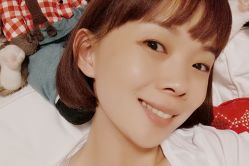 -大象造型