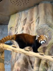 -Zoolung Zoolung动物主题公园(海信广场店)