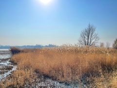 -野鸭湖国家湿地公园